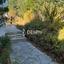 2 bedroom town house for sale prodromi paphos 7812170 thumbnail 10637624