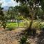 2 bedroom town house for sale prodromi paphos 7812170 thumbnail 10637626