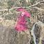 land for sale pano pyrgos nicosia 7872170 thumbnail 11384358