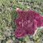 2217 SQM Plot for sale in Pera Pedi, Limassol thumbnail 15158799