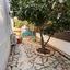 3 bedroom detached house for sale agia thekla famagusta 8554270 thumbnail 16576607