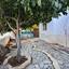 3 bedroom detached house for sale agia thekla famagusta 8554270 thumbnail 16576615