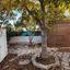 3 bedroom detached house for sale agia thekla famagusta 8554270 thumbnail 16576628