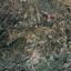 land for sale lythrodontas nicosia 7953270 thumbnail 15596619