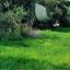 land for sale ormideia larnaca 7993270 thumbnail 14128539