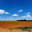 land for sale ormideia larnaca 7993270 thumbnail 14128563