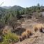 land for sale xyliatos nicosia 946270 thumbnail 2988154