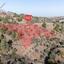 land for sale xyliatos nicosia 946270 thumbnail 2988177