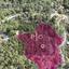 plot for sale pera pedi limassol 8275270 thumbnail 15158796