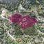 plot for sale pera pedi limassol 8275270 thumbnail 15158797