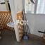 studio shop for sale spilia nicosia 1443270 thumbnail 5619158
