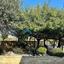 1 bedroom apartment for sale aphrodite hills paphos 8977370 thumbnail 17922321