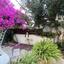 3 bedroom detached house for sale agios athanasios limassol 1873370 thumbnail 14516289