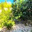 3 bedroom detached house for sale kamares tala paphos 8903370 thumbnail 17385090