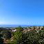 3 bedroom detached house for sale kamares tala paphos 8903370 thumbnail 17385135