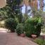 4 bedroom detached house for rent agios tychonas limassol 8571370 thumbnail 15650590