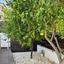 5 bedroom detached house for sale pyrgos limassol limassol 1678370 thumbnail 16283602