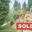 3 bedroom bungalow sold mesa chorio paphos 8087470 thumbnail 13138574