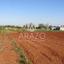 land for sale avgorou famagusta 8833470 thumbnail 17004168