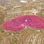 land for sale vouni limassol 1736470 thumbnail 13266452