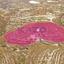 land for sale vouni limassol 1736470 thumbnail 13266453