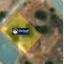 577 SQM Plot for sale in Paramali, Limassol thumbnail 13683834