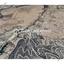 land for sale agia varvara nicosias nicosia 7609570 thumbnail 9773889