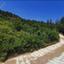 land for sale tsakistra nicosia 8726570 thumbnail 16332314