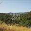 plot for sale pera pedi limassol 1510570 thumbnail 5118945