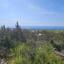plot for sale tsada paphos 8317570 thumbnail 14196383