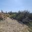 plot for sale tsada paphos 8317570 thumbnail 14196385