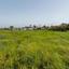 plot for sale ypsonas limassol 8376570 thumbnail 16715323