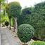 3 bedroom detached house for sale peyia paphos 7734670 thumbnail 16025181