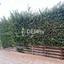 4 bedroom detached house for sale agia varvara paphos 7812670 thumbnail 10641685