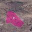 land for sale choletria paphos 1897670 thumbnail 14207291