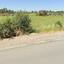 land for sale kolossi limassol 8560670 thumbnail 15587711
