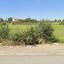 land for sale kolossi limassol 8560670 thumbnail 15587712