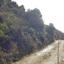 land for sale pachna limassol 8785670 thumbnail 16656210