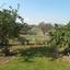 3 bedroom bungalow for rent pano lakatamia nicosia 1151770 thumbnail 5141610