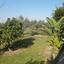 3 bedroom bungalow for rent pano lakatamia nicosia 1151770 thumbnail 5141616