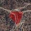 land for sale kalo chorio lemesou limassol 962770 thumbnail 15601864