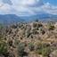 land for sale kalo chorio lemesou limassol 962770 thumbnail 17227858