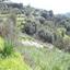 land for sale letymvou paphos 9001770 thumbnail 18388084