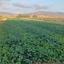 land for sale poli chrysochous paphos 8529770 thumbnail 15457205