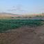 land for sale poli chrysochous paphos 8529770 thumbnail 15457206