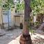 4 bedroom bungalow for sale deryneia famagusta 7788870 thumbnail 13134650