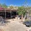 4 bedroom bungalow for sale deryneia famagusta 7788870 thumbnail 13134653