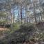 land for sale moniatis limassol 1753870 thumbnail 5727414