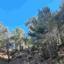 land for sale moniatis limassol 1753870 thumbnail 5727424