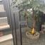studio apartment for rent agios andreas nicosia nicosia 8238870 thumbnail 16340215